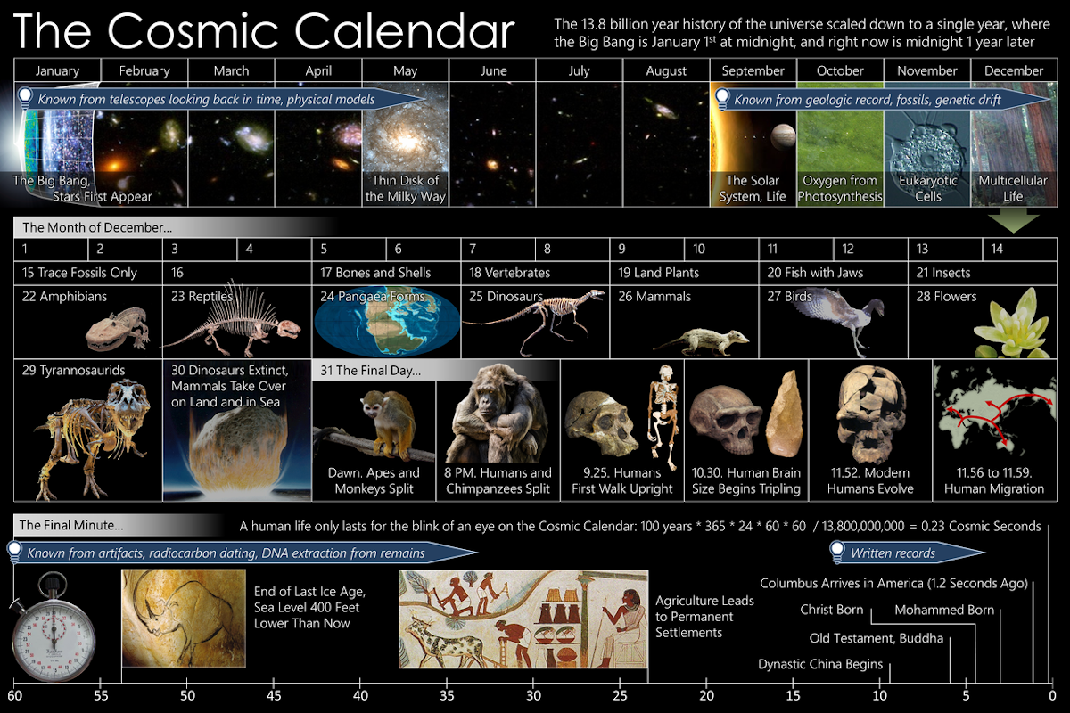 [Cosmic Calendar](https://commons.wikimedia.org/wiki/File:Cosmic_Calendar.png) - Efbrazil [CC BY-SA](https://creativecommons.org/licenses/by-sa/3.0)